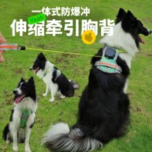 �Ԅ���s�����ر������������K�����_����ʽ����һ�wʽ��s�ر���