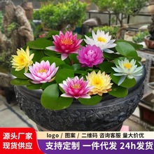 池塘大睡莲花鱼缸睡莲根块带花苞盆栽水培花卉植物庭院小睡莲花苗
