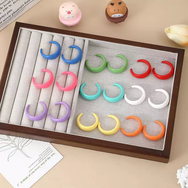 Spring and Summer Colorful Earrings High-End Simple Temperament Stud Exaggerated 2025 New Fashion Versatile Earrings Travel Seaside