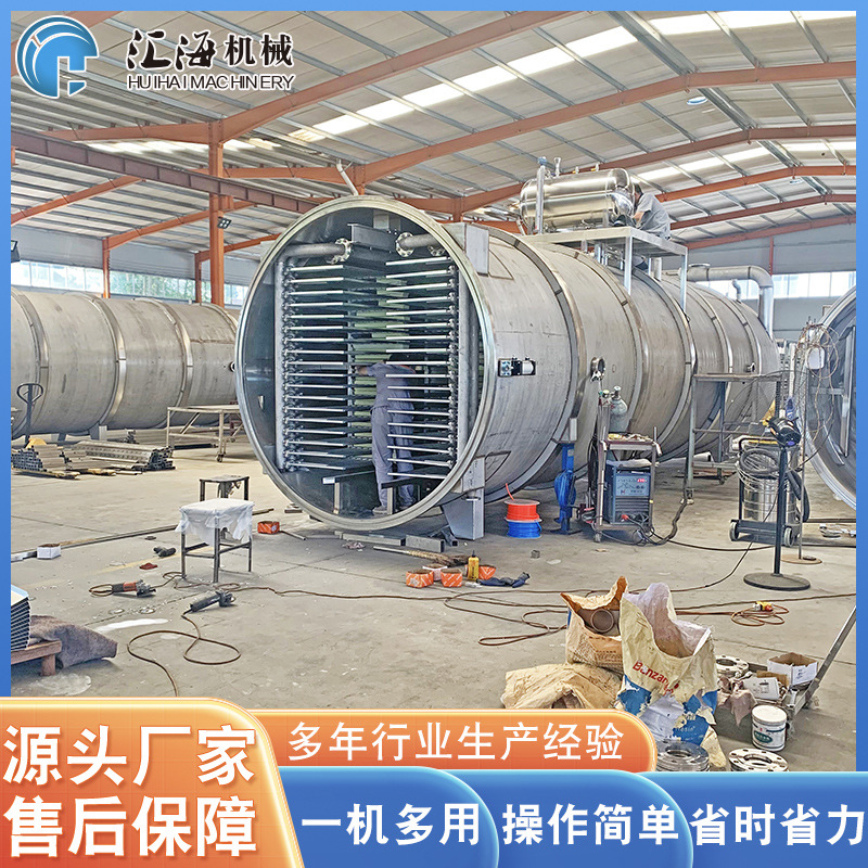 真空冷冻干燥设备 全自动草莓冻干机 鸡胸肉真空冻干机 厂家供应