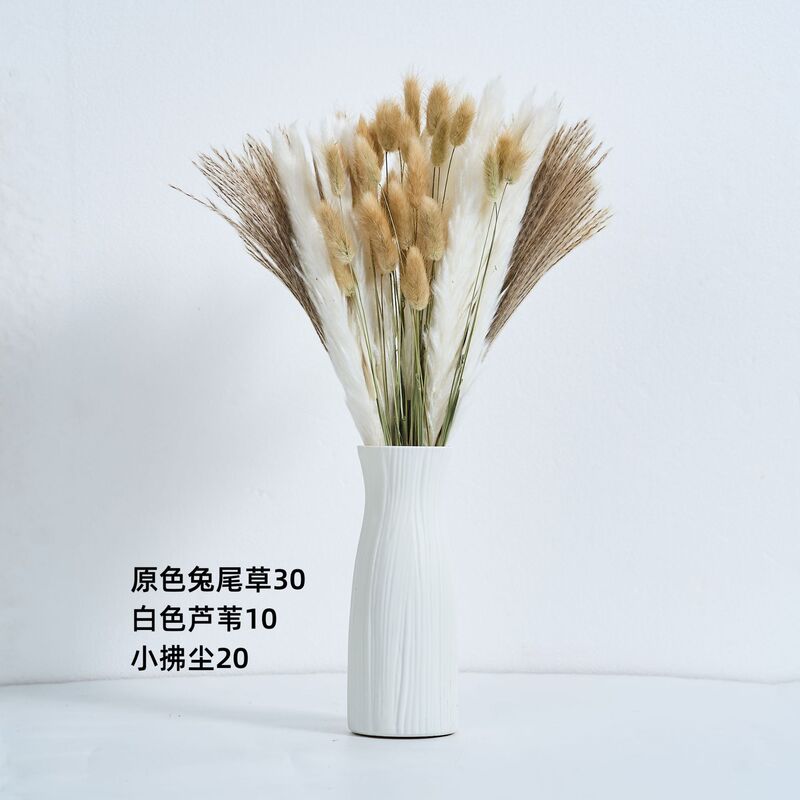 アマゾンはよく売れています。葦の花の花束です。|undefined