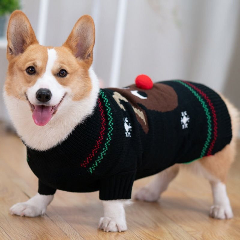 Padded Coat Image 5