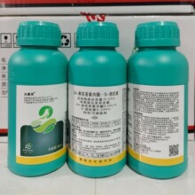 �￵��24��̦ܿ������S�տ���ˮ��ֲ���������ڼ���������500ml