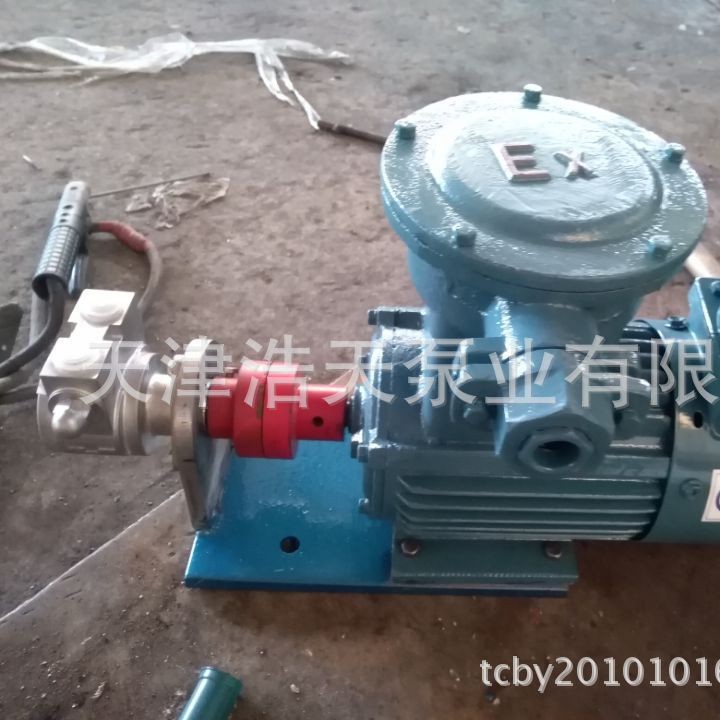 变频防爆液化气泵TDYP 氟利昂滑片泵 甲醇滑片泵 不锈钢滑片泵