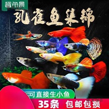 ���B�ͻ�С�ͽ��~��ȸ�~�Ꭷ�~�^�p�~�Pβ�~���B���R���w����̫��