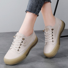 ƤСЬŮ2025＾e\ӰЬnٴƽһ_ŷЬ