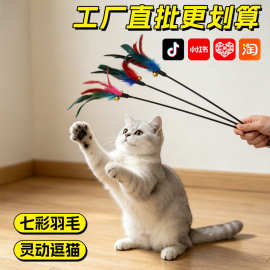 七彩羽毛逗猫棒宠物玩具猫咪玩具互动娱乐猫咪玩具猫玩具自嗨解闷