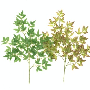 ���������� �ָ��z�������~��c�����b��~�������~�٘�֦���