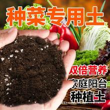 营养土种菜土种菜土肥料通用土壤种植土花土蔬菜养花通用水晶端剪