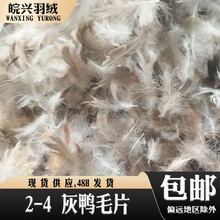 �S��ֱ�N 2-4����ëƬ ���ԭ��ˮϴ�ߜغ����춱���ɳ�l��о��