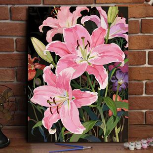 �ٺϻ������ͮ�diy�ֹ���ɫ��ϩ�����ֵ�͏d���g�b��Լ��Tɫ