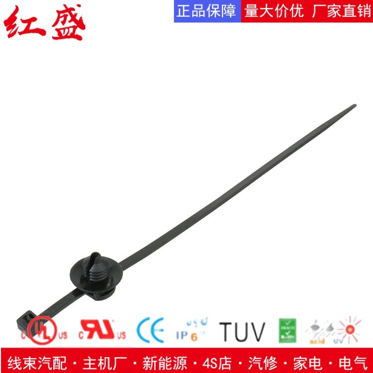 带杉树头和圆盘的汽车固定扎带 156-00611/156-00732/T30RFT8