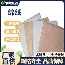 其他工业用纸;透明纸;其他包装用纸
