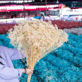 鲜花花艺制品;永生花