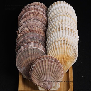 ��������ؐ�����ط۽z�бP��ڏ��˱P�����Ȼ��ؐ���ֹ�DIY