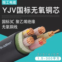 國標電纜線銅芯護套線YJV2 3 4 5芯10 16 25 35 50平方戶外電力線