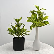 3D打印仿真植物35叶花点榕绿植把束盆栽家居创意装饰户外摄影道具