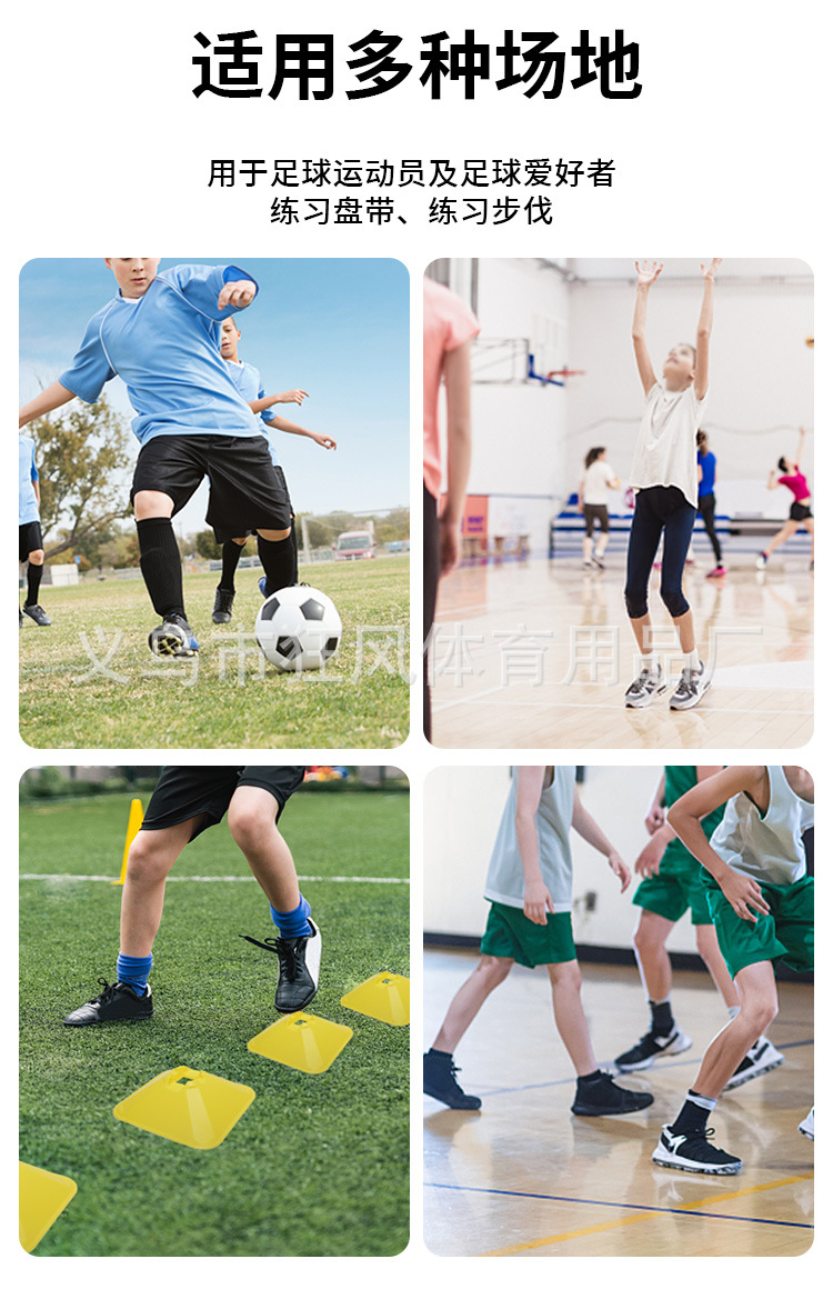 标志碟_03.jpg