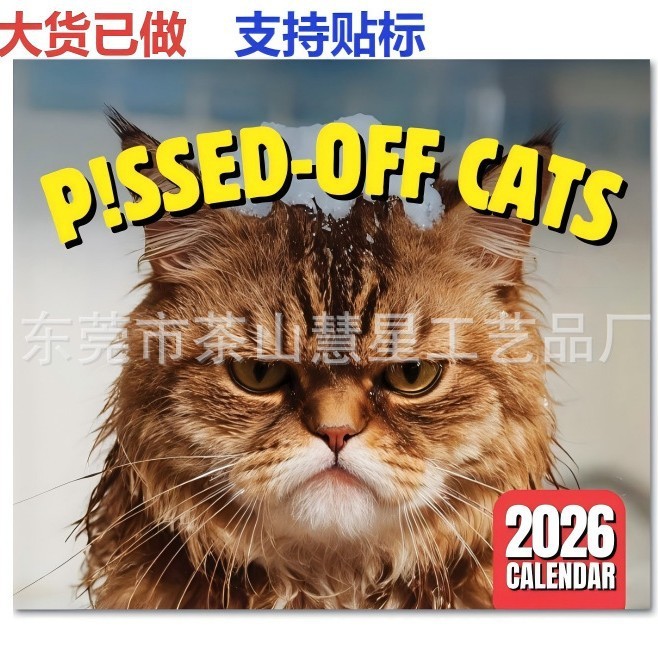 跨境新品现货2025年愤怒猫日历怒气满满的生气猫日历个性创意挂历|undefined