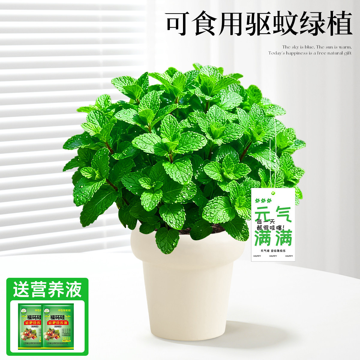 With simple planting pot