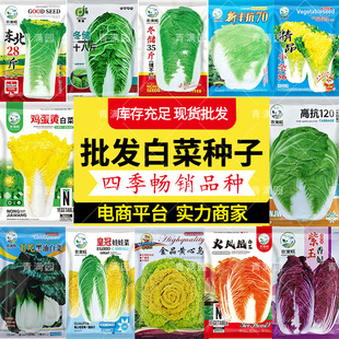 四季蔬果种籽