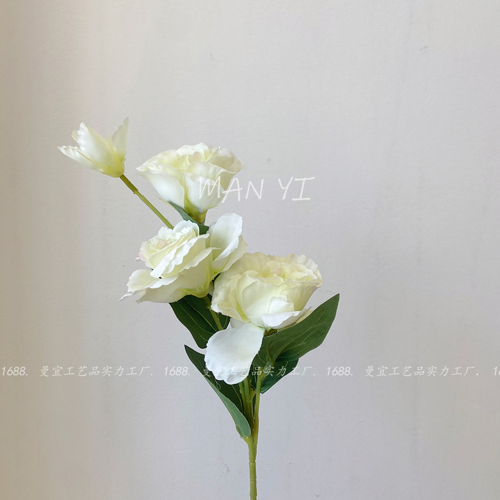 Eustoma de cuatro cabezas blanco y verde