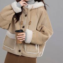 2025궬¿nϵͨڌɰٴƤëһwBñOӋװ]е