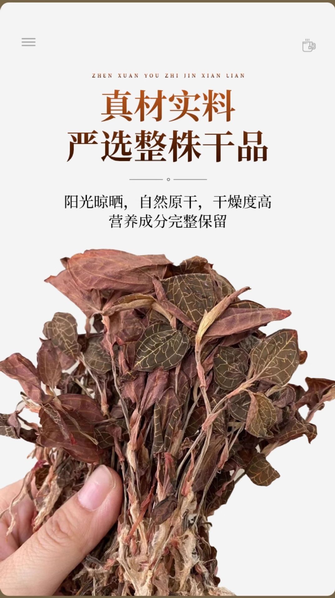 Anoectochilus Dried Whole Plant Tea 250g Fujian Jinxianlian Gift Box quality and texture