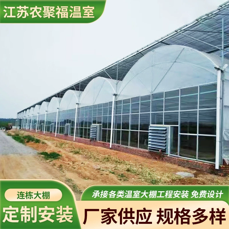 Многопролетная теплица из сельскохозяйственной пленки с оцинкованным каркасом, интегрированной конструкцией и внешним затенением для выращивания растений