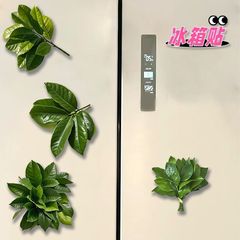 柚子叶去晦气冰箱贴转运幸运亚克力创意小众搞怪礼物冰箱装饰品