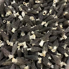 银耳;香菇;蘑菇