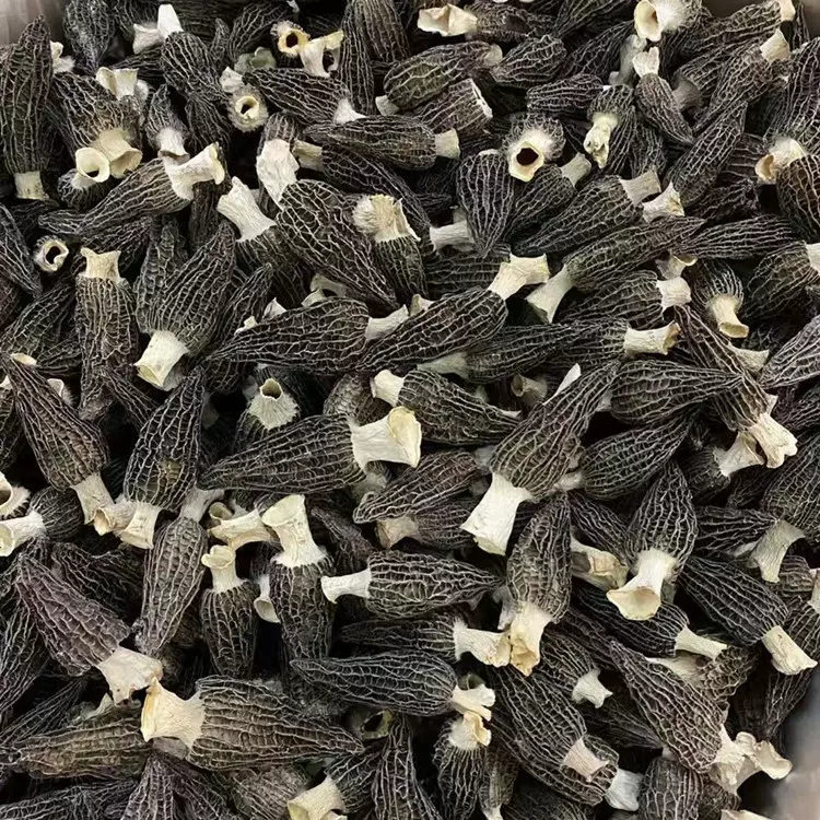 羊肚菌头茬新货酒店餐饮食材细纹无沙厂家批发羊肚菌干货50g