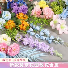 ����Ī�λ��@���[�O�з������ٻ��������Ո��������b������