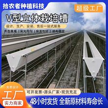 ����o���������ɫ�й���ˮ���߲�ƽ��PVC���|��ݮ���w�Nֲ��