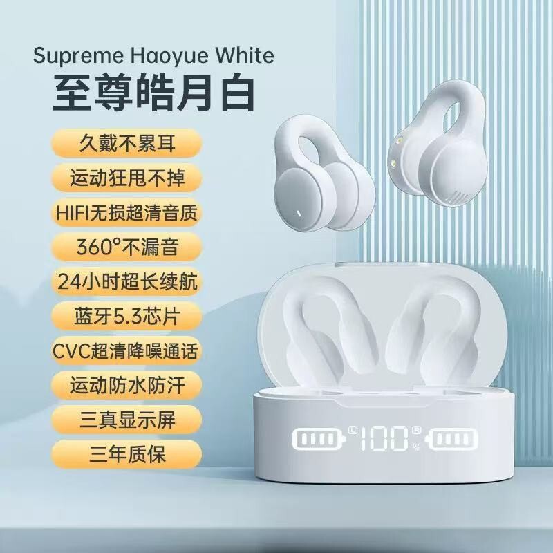 2025 新しいクロスボーダープライベートモデル X1 完全ワイヤレス睡眠不可視ミニコンパクトワイヤレス Bluetooth ヘッドセット翻訳可能|undefined