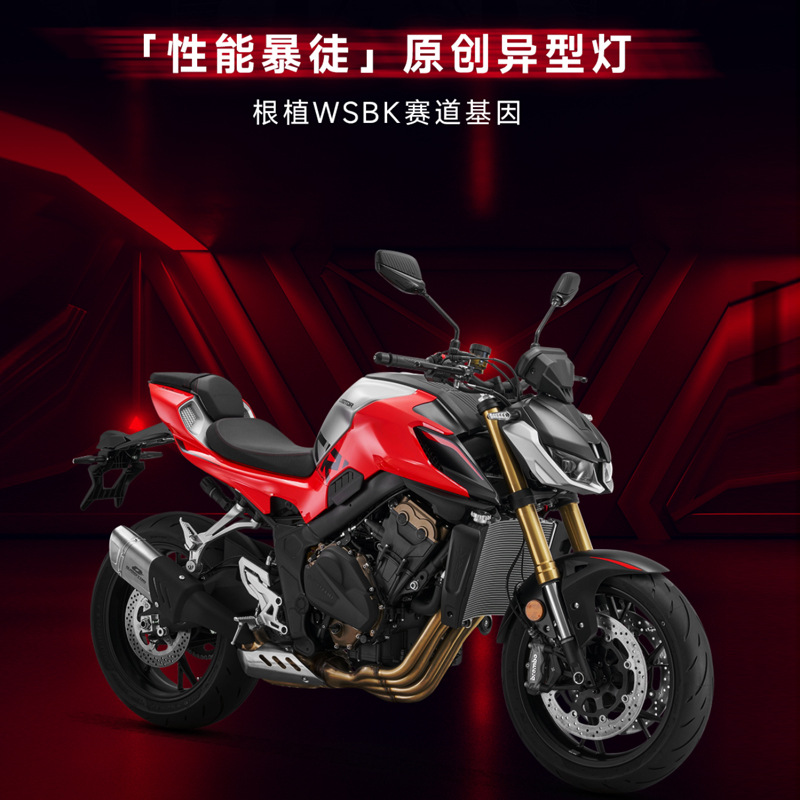 El nuevo Qianjiang Chase 600cc de ahorro de combustible de todo el vehículo puede ser inyección eléctrica de doble canal ABS + TCS delantero y trasero