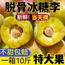 10万+复购】四川青脆李子茵红李空心脱骨李土半边红新鲜当季水果