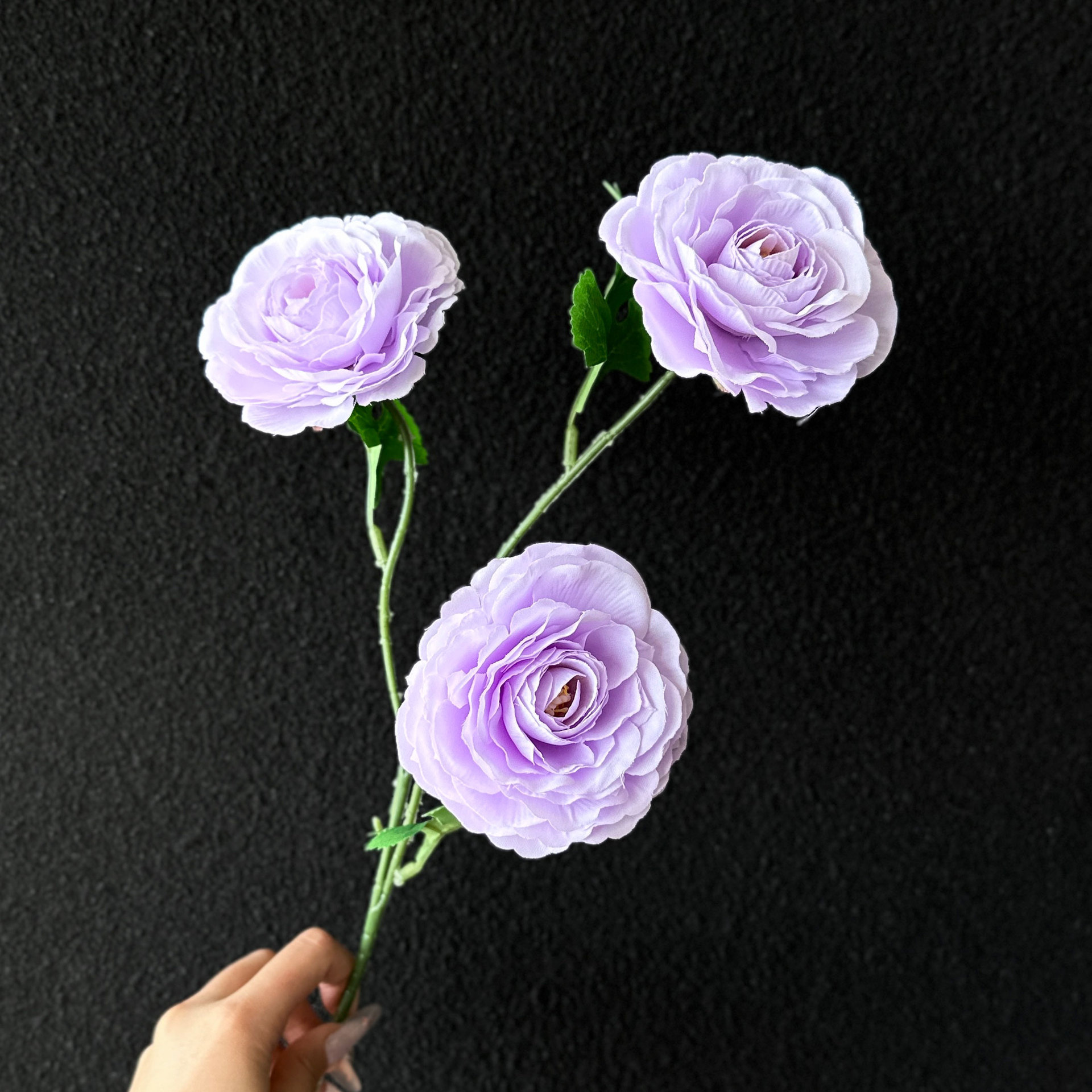 Camelia de montaña lila