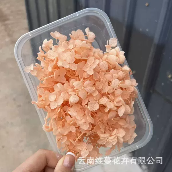Champagne color