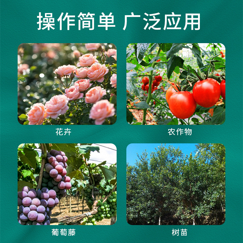 Punto transfronterizo hilo de espina de pescado multiusos hilo de amarre estante de jardinería hilo de amarre jardín de plástico juego de tres piezas al por mayor