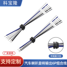 定制6p汽车喇叭音响输出组合线带卡位1007 18AWG车载音箱音频线束