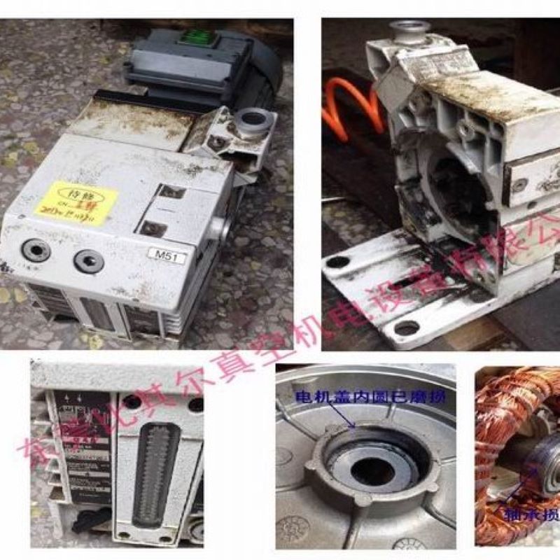 深圳宝安区莱宝D65B真空泵维修 莱宝双极真空泵维修/保养