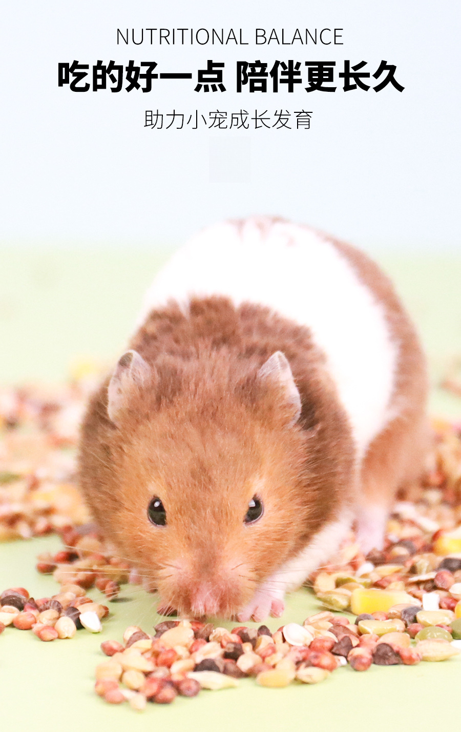 /O1CN01eWmpgN2BEfB6fcbMA_!!2219871698307-0-cib.jpg?x-oss-process=image/format,png