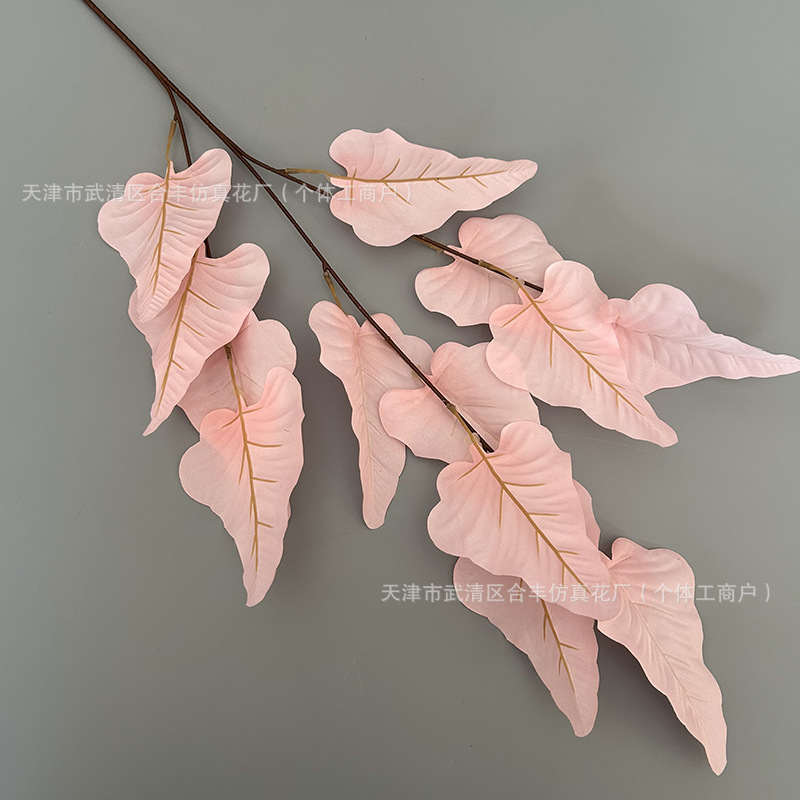 분홍색