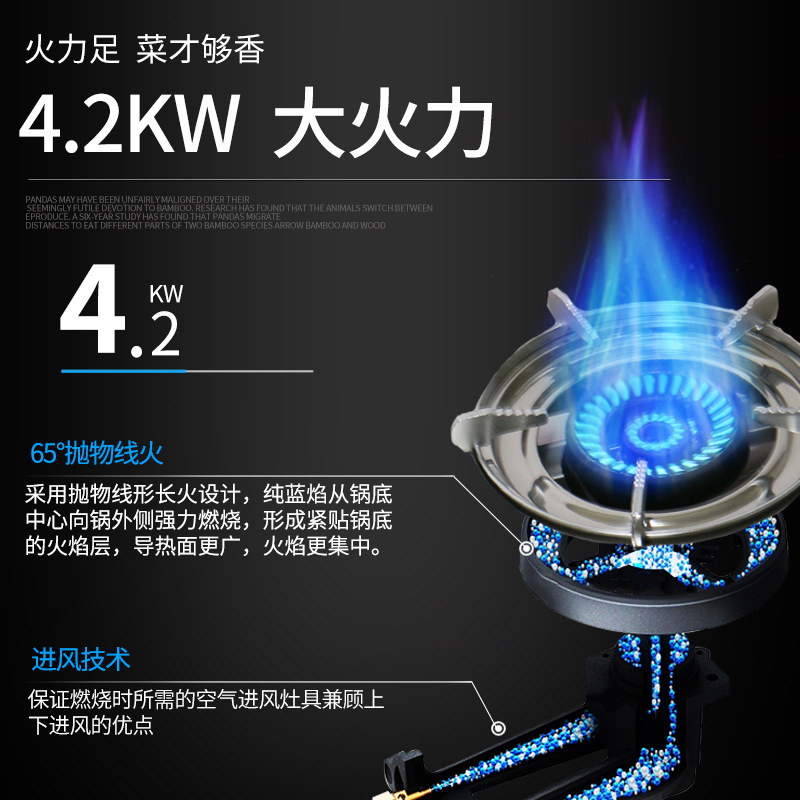 Estufa de gas Aoyan estufa doble hogar gas licuado estufa doble estufa de gas de ahorro de energía estufa de fuego de escritorio estufa antigua