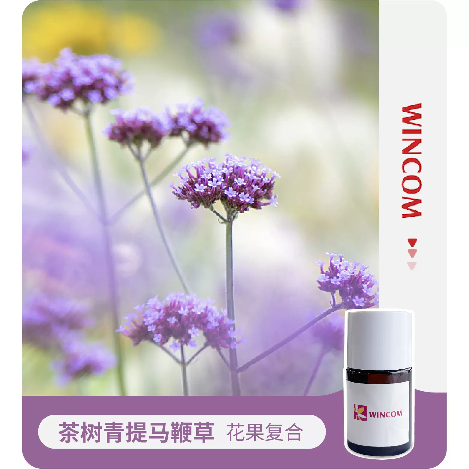 口腔香精应用成人牙膏香精香气天然食用香精工厂粉末液体茶树