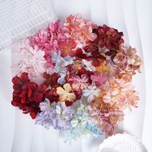 �����߅���򻨻�Ƭ���Ʒ ���Wϵ���仨���^����������ˇ����