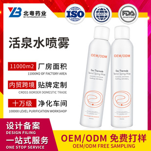 Customized Spring Water Spray Oem Cooling Hydrating Moisturizing Toner Lotion Skin Care Fine Mist Spray Cross-Border Odm