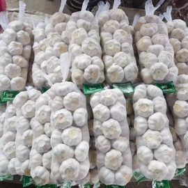蒜;洋葱;脱水蔬菜