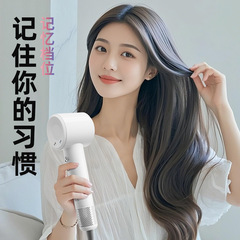 Ksルケスリルマイナスイオン高速ドライヤー家庭用携帯ハイパワー速乾静音ヘアドライヤー